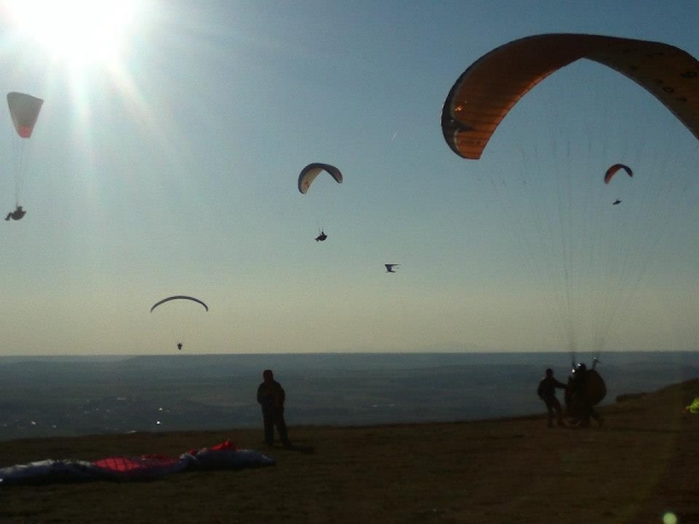  paragliding day 